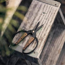 Barebones Garden Scissors - Walnut Scissors - Garden Supplies and Indoor Plant Accessories - Plant Shears with Wide Handles - Comfortable Fit Trimming Shears (Small) by GreenHaven Gardens