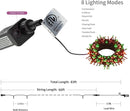 HOME LIGHTING 66ft Christmas Decorative Mini Lights, 200 LED Green Wire Fairy Starry String Lights Plug in, 8 Lighting Modes, for Indoor Outdoor Xmas Tree Wedding Party Decoration (Red & Green) by TinyTreasures Baby Boutique