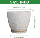10 Inch Plant Pot Ceramic Planter Pot with Drainage Hole and Saucer Round Planter Large Flower Pot for Indoor Outdoor Plants Home Garden Decor White by GreenHaven Gardens