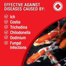 MICROBE-LIFT BSDTG1 Broad Spectrum Disease Treatment for Ponds and Outdoor Water Gardens, for Live Koi Fish, Goldfish, Plants, and Decor, 1 Gallon by GreenHaven Gardens