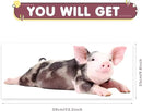 Funny Piggy Wall Window Stickers True Pig Wall Decals Peel and Stick Cute Pig Wall Stickers Removable Funny Animals Decals Gifts for Farmhouse Nursery Kitchen Kids Bedroom Playroom Décor by CozyNest Decor