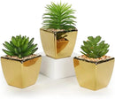 Hollyone Small Succulents Artificial 3 Pcs Faux Succulents with Gold Pots Mini Fake Succulent Plants Indoor Plant Ceramic Pots for Modern Office Desk Bathroom Shelf Living Room Home Decor by GreenHaven Gardens