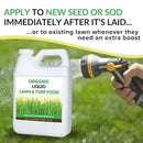 Organic Liquid Lawn & Turf Food - Quickly Rejuvenates Lawn Health and Restores Rich Green Colors to Depleted Grass | Infused with Soil Enriching Microbes (32oz - 2 Pack, Treats Up to 10,000 Sq. Feet) by GreenHaven Gardens