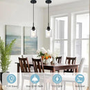 Modern Farmhouse Pendant Lighting for Kitchen Island,Industrial Dining Room Light Fixtures Hanging Over Table with Seeded Glass,2 Pack Black Pendant Lights Mini Chandeliers for Sink Bar by CozyNest Decor