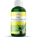 Organic Premium Kelp Seaweed Fertilizer - Liquid Hydroponics Fertilizer - Liquid Plant Food - Nutrient-Rich Soil Enhancer - Natural Plant Food for Aloe Vera (8 OZ) by GreenHaven Gardens