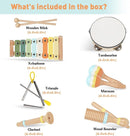 Toys for 1 2 3 4 Year Old Boys Girls, Musical Instruments Set for Toddler Age 1-2 2-3 3-4, Baby Montessori Toy Gifts for Early Learning, Christmas Birthday Gift for Toddler Boy Girl Toys by TinyTreasures Baby Boutique