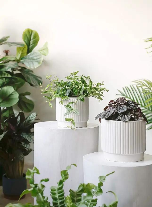 LE TAUCI Ceramic Pots for Plants, 8+6.7+5.5 Inch Plant Pots Indoor, Flower Pot with Drainage Holes, Medium Cylinder Planters for Indoor House Plants, Set of 3, White, photo 3 of 7