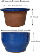 African Violet Pots Self Watering Round Ceramic Violet Pot (Blue, 6 inch) by GreenHaven Gardens