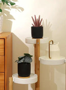 TAMAYKIM 4 Inch Small Cylinder Ceramic Plant Pots with Drainage Holes, Modern Indoor Planters with Tray for Aloe, Succulent, Snake Plants, Cactus & Herbs, Black, Set of 4 by CozyNest Decor