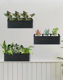 vensovo Metal Wall Hanging Planter Boxes – 12" Rectangle Flower Pots, 3 Pack with Drainage, Durable Galvanized Finish for Indoor Outdoor Balcony Fence Windowsill, Black by CozyNest Decor