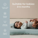 Snuggle Me® Baby Lounger Curve (0-6 Months) - Premium Organic Cotton with Foam Core, Machine-Washable Cover, Buttery-Soft & Breathable Infant Lounger with Travel Bag (30 in x 20 in x 1.9 in) - Slate by TinyTreasures Baby Boutique