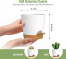 4 inch Self Watering Pots for Indoor Outdoor Plants, 6 Pack Plastic Flower Planters with Drainage Holes and Removable Saucers, Plant Pots with Wicking Rope, Modern Decor, White Brown by GreenHaven Gardens