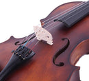 Ktaxon Violin 4/4 for Kids & Adults, Full Size Solid Wood Violin, Acoustic Fiddle with Portable Case and Accessories-Carefully Selected Solid Spruce Wood and Premium Ebony Fittings(Matte) by TinyTreasures Baby Boutique