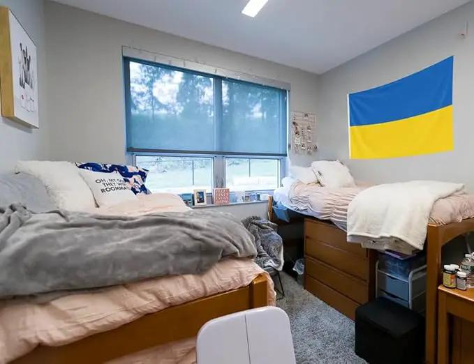 Double Sided Ukraine Flag 4x6FT Ukrainian National Polyester Flag With 2 Grommets For Patriotic Ukrainian Themed Festival Events Party Decoration(Ukraine, 4x6FT-3ply), photo 6 of 7
