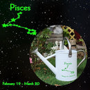 Metal Watering Can for Outdoor and Indoor Plants, Watering Can Decor, 1 Gallon (Pisces) by GreenHaven Gardens