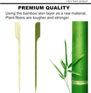 HOPELF 10 inch Bamboo Paddle Picks Skewers for Shish Kabob，Fruit Kabobs，BBQ，Kitchen，Grilling，Barbeque Snacks.Wood pick More Size Choices 3.5''/ 4.7''/ 7''/ 10'' (Pack of 100) by GreenHaven Gardens