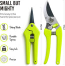 2-Pack Stainless Steel Gardening Scissors, Pruning Shears and Clippers for Gardening by GreenHaven Gardens