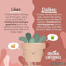 Original Earthlings Standing Pot - 3.5 Inch Cute Plant Pot - Plastic Funny Planter with Drainage - Unique Cactus Plant Lover Gift - Small Succulent Face Flower Pot - Cute Plant Gifts for Plant Lovers by GreenHaven Gardens