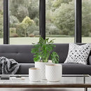 Docrin Ceramic Plant Pots Indoor: 6.5+5.3+4 Inch Planters with Drainage Holes for Home/Office - Set of 3 / White Honeycomb by GreenHaven Gardens