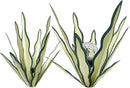 Metal Agave Plant Garden Art, 2 Pack Tequila Rustic Sculpture, Rustic Metal Agave Plants Garden Lawn Home Ornaments, for Yard Stakes, Garden Figurines, Outdoor Patio (2 PCS Green with Light) by GreenHaven Gardens