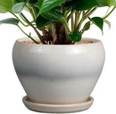 Planter Pot 6 Inch - Ceramic Plant Pot with Drainage Hole and Saucer, Round Glaze Succulent Pot for Plants, White by GreenHaven Gardens