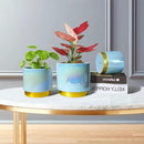 Gepege Ceramic Pots for Plants, Rainbow Pearl Glaze Planter with Drainage Hole, 6.0 inch+5.0 Inch+4.0 Inch. Indoor-Outdoor Large Round Succulent Orchid Flower Pot by GreenHaven Gardens