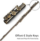 EASTROCK Closed Hole Flutes C 16 Key for Beginner, Kids, Student -Antique Flute with Case Stand and Cleaning kit by TinyTreasures Baby Boutique