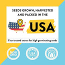 Home Grown Paint & Grow Flower Gardening Kit Set for Boys and Girls - Craft Activity Toy for Kids, Ages 5 6 7 8-12 Years Old - Unique Birthday Present - Plant Gift Toys by GreenHaven Gardens