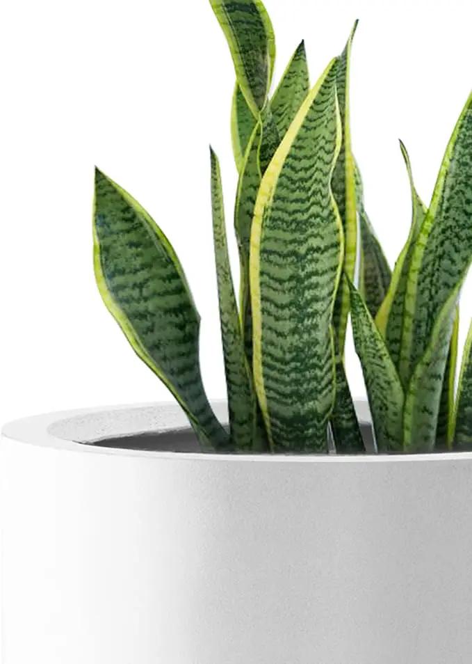 Kante RC0119ABC-C80011 Set of 3 Lightweight Concrete Modern Cylinder Outdoor Planters, 15.8, 12.9 and 9.8 Inch Diameter, Pure White, photo 3 of 8