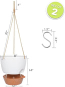 8 inch Hanging Planters, 2 Pack Self Watering Hanging Pots with 20oZ Deep Reservoir for Indoor Outdoor Plants Flowers, White with Brown by GreenHaven Gardens
