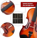 Rhythm Violin Set for Beginners,Acoustic Violins Starter Kit Package for Student,Beginners Fiddle with Hard Case, Rosin, Shoulder Rest, Bow, and Extra Strings (NATURAL, 1/4) by TinyTreasures Baby Boutique