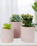 LaDoVita 3 Pack Ceramic Plant Pots 6/5/4 inch, Flowerpot for Indoor Plants with Drainage Holes and Tray, Outdoor Garden Planters, Modern Decorative for Home, Pink Vertical Stripes by GreenHaven Gardens