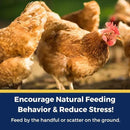 Pampered Chicken Mama Best Eggs Ever! Nesting Herbs for Chickens (4 Pounds) Calcium Supplement for Chickens | Chicken Feed Supplies, Hen Treats for Coops by GreenHaven Gardens