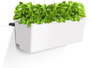 Glowpear Self Watering Railing Planter Box - 23.6", White - UV Stable, Scalable Plant Pot with Water Gauge, Indoor Outdoor for Vegetables, Flowers, Herbs, and Succulents by CozyNest Decor