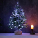 Fairy Lights Plug in,66FT 200 LEDs Waterproof Led String Lights,Twinkle Light with 8 Modes Remote for Outdoor Indoor Christmas Wedding Birthday Garden Party Decorations,Cool White by GreenHaven Gardens