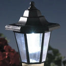 Bits and Pieces - Solar Dog Lantern-Solar Powered Garden Lantern - Resin Dog Sculpture with LED Light (Boston Terrier) by GreenHaven Gardens