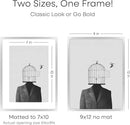 Homeforia 9x12 Picture Frame Silver, High End Metal 9 x 12 Frames with Mat 7 by 10 inch Photo, 9by12 Poster Frame Matted to 7x10 Print, 12x9 Wall or Tabletop Frames, Tempered Glass, Wall Kit, Set of 1 by CozyNest Decor
