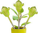 Adabocute Glass Plant Watering Globes, Cactus Self Watering Globes, Cacti Self Watering Planter Insert, Plant Watering Devices, Automatic Plant Waterer Indoor, Watering Bulbs, 3 Pack by GreenHaven Gardens