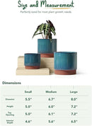 LE TAUCI Ceramic Plant Pots with Drainage Holes, Set of 3, 8+6.7+5.5 Inch Stripe Garden Planter Pots for Outdoor Indoor Plants Flower, Round Succulent Orchid Flower Pot, Reactive Glaze Green by GreenHaven Gardens