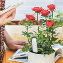 Soil Moisture Meter 4 in 1,Plant Water Monitor,Automatically detect Moisture/Temperature/Light/Fertility,Can Connect to Mobile Phone via Bluetooth,Hygrometer Sensor for Indoor Plants (2pc) by GreenHaven Gardens