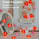 Red Heart String Lights 9.85 Ft Valentines Light with 20 LEDs 20 Pink Pom Poms Garland Lights Battery Operated with Timer Valentines Decorations for Wedding Party Valentine Decor