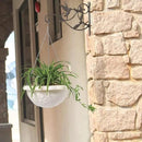 Mkono Hanging Plant Bracket Hook Iron Decorative Plant Hanger for Flower Basket Bird Feeder Wind Chime Lanterns, 2 Pack by GreenHaven Gardens