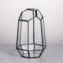 NCYP Small Geometric Terrarium - 4.1" x 3.5" x 5.9" Miniature Irregular Glass Terrarium Planter for Succulent Air Plants - Tabletop Garden Display Container, Black (No Plants, No Door) by CozyNest Decor