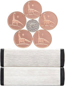 Dowling Magnets Magic Penny Magnet Kit - Hours of Unplugged Play - A Gift for Curious Minds by TinyTreasures Baby Boutique