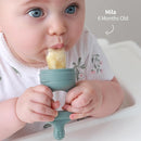 SAMiGO Baby Food Fruit Feeder and Breastmilk Popsicle Mold Set, Silicone Fruit Teether, Food Feeder Pacifier for Teething Relief, Freezer Tray, Baby Feeding Essentials, 4 Months+ by TinyTreasures Baby Boutique