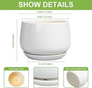 G EPGardening Ceramic Plants Pots - 4 inch Succulent Pots for Indoor Outdoor, Small Planter with Drainage Hole & Saucer, Round Planter, Modern Flower Pot, Office Decor, Plant Lovers Gifts, White by GreenHaven Gardens