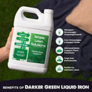 Simple Lawn Solutions - Liquid Iron Fertilizer Darker Green - Chelated Micronutrients - Concentrated Spray Booster for Turf Grass, Indoor Plants and Outdoor Garden (1 Gallon) by GreenHaven Gardens