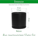 D'vine Dev 8 Inch Ceramic Planter Pot with Drainage Hole and Saucer, Indoor Cylinder Round Planter Pot, Black, 94-O-D-2 by GreenHaven Gardens