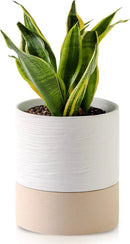Nihow Self Watering Plant Pot: 6 Inch Ceramic Planter with Drainage Hole & Water Storage Plus for Indoor & Outdoor Plants - Cylinder Round Flower Pot for Succulent/Herbs/Violets - White & Brown by CozyNest Decor