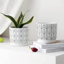 Ton Sin Plant Pots,5.5 Inch White Pots for Indoor Plants with Drainage Holes,Cylinder Flower Pot Ceramic Planters with Saucer,Cactus Succulent Outdoor Garden Pots Set of 4 by GreenHaven Gardens